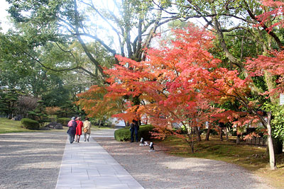 旧細川刑部邸の外庭の紅葉_c0152779_19563436.jpg