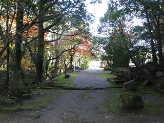 2015年の12月上旬。鹿児島市慈眼寺はあざやかな紅葉_e0130185_2147169.jpg