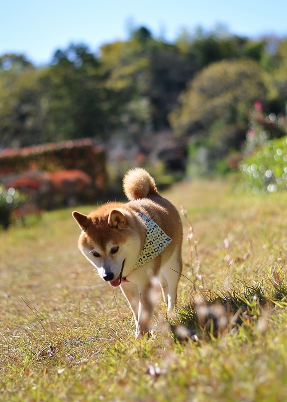 木曜日_a0126590_23094753.jpg