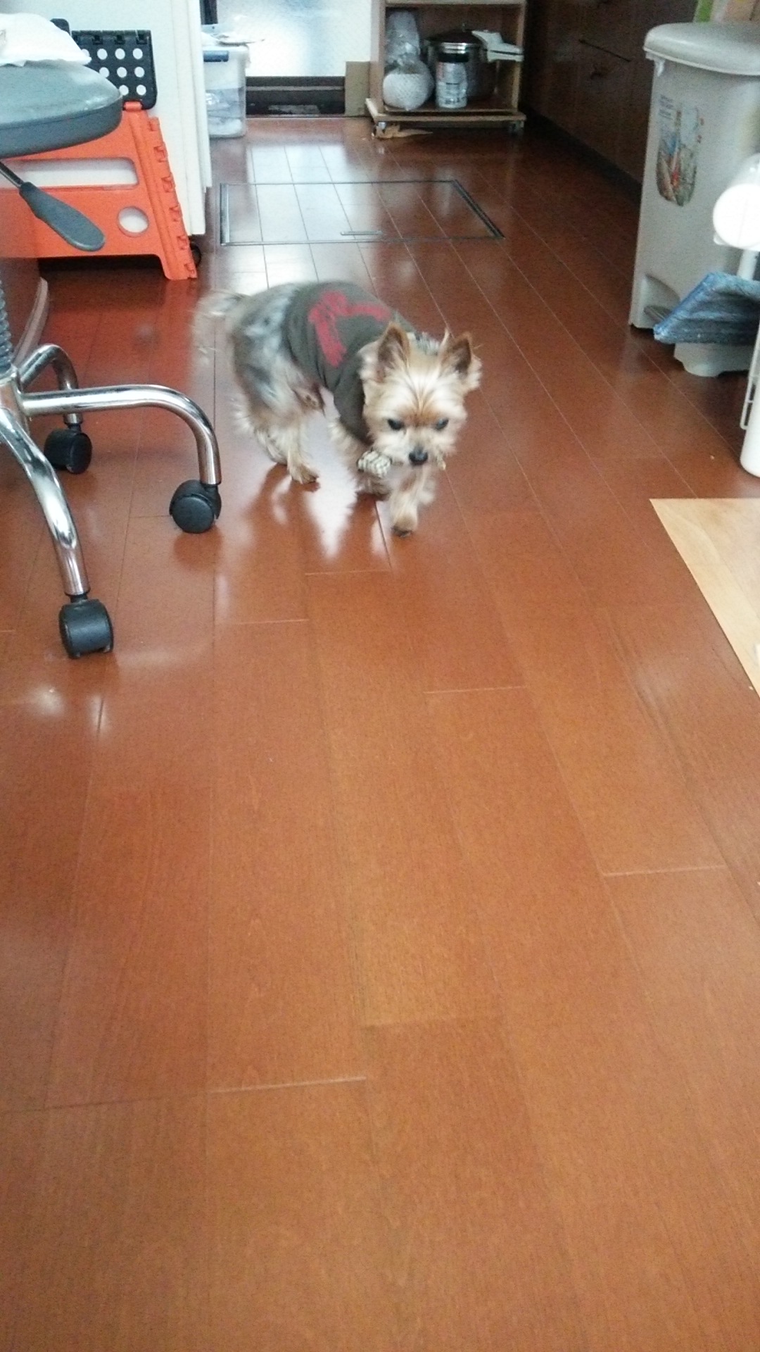 c0191390_14284938.jpg