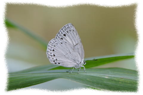 d0353091_22485386.jpg
