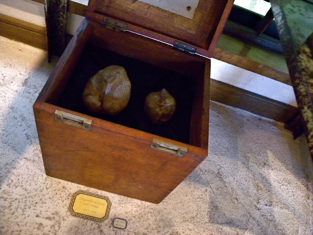 a0199297_2114027.jpg