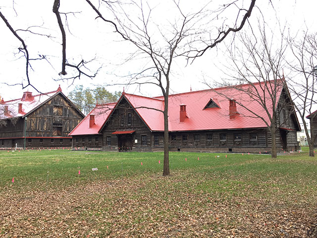 e0168701_1532372.jpg