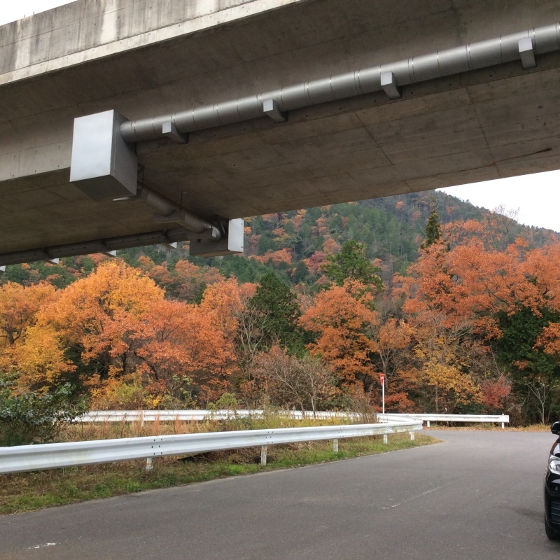 b0220002_16214038.jpeg
