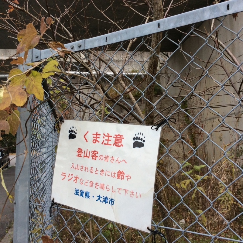 b0220002_16233122.jpeg