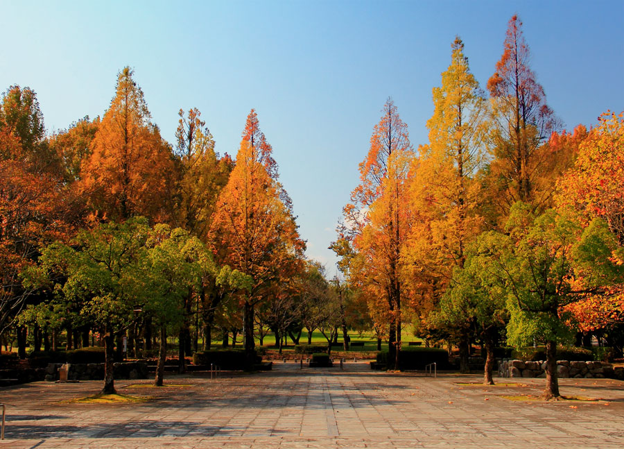 春日公園の紅葉 九州ロマンチック街道 春日公園の紅葉 九州ロマンチック街道