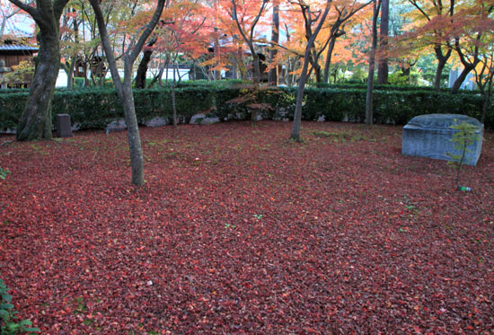 紅葉だより60 真如堂 敷きもみじ_e0048413_165166.jpg