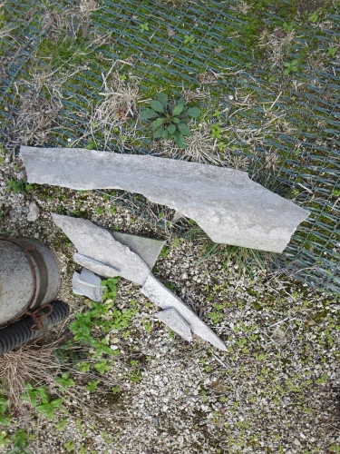 c0338016_13362377.jpg