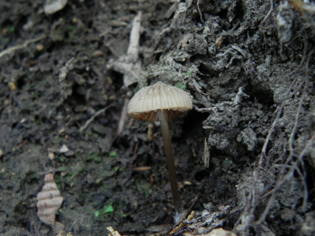 e0352220_16051276.jpg