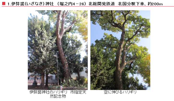 b0199122_3274568.png