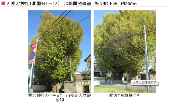 b0199122_3431092.png