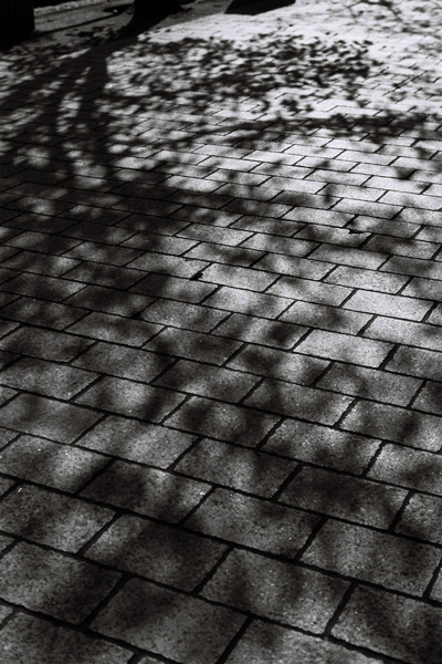 a0145825_22264347.jpg