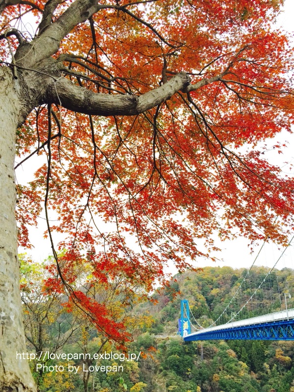 c0136926_2139036.jpg