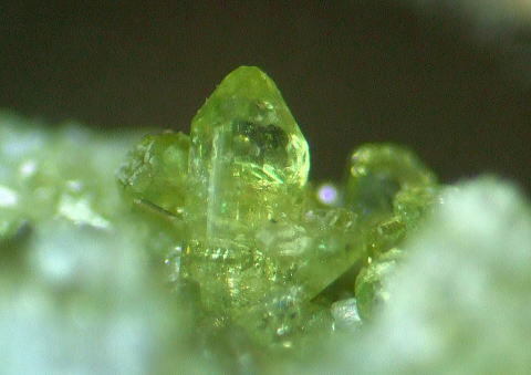 d0045626_21061525.jpg