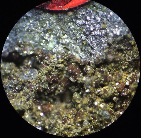 d0045626_21230217.jpg