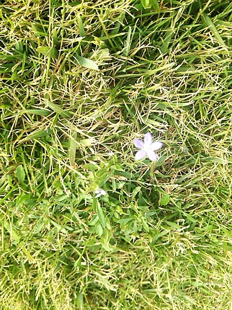 c0296630_12072419.jpg