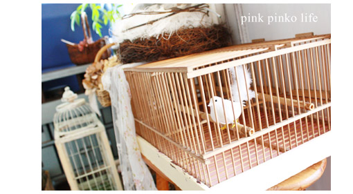 鳥かごリメイク_d0351435_17411649.jpg