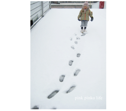 雪だるま と ぽんただるま_d0351435_17483232.jpg