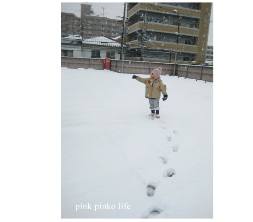 雪だるま と ぽんただるま_d0351435_17483283.jpg