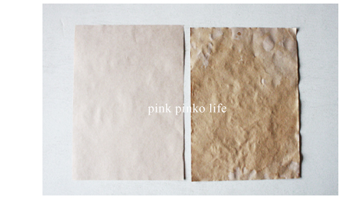 古紙風ペーパーの作り方 植物標本 Pink Pinko Life 古紙風ペーパーの作り方 植物標本 Pink Pinko Life