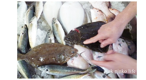 衝撃のデカさ ・ 魚の日_d0351435_17510458.jpg
