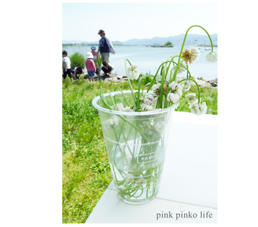 休日はアウトドア!_d0351435_17515737.jpg