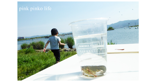 休日はアウトドア!_d0351435_17515822.jpg