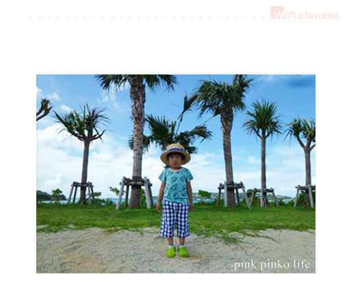 沖縄旅行 ３_d0351435_17522705.jpg