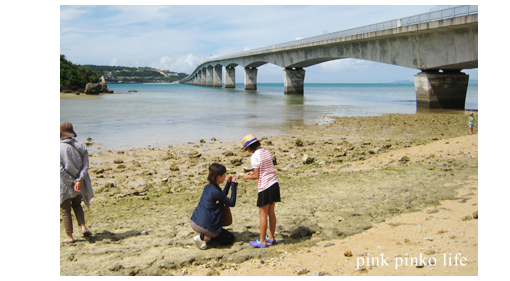 沖縄旅行 ３_d0351435_17522757.jpg