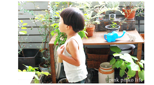 DIY レンズ撮影 ☆ 小さな探検家_d0351435_17530340.jpg