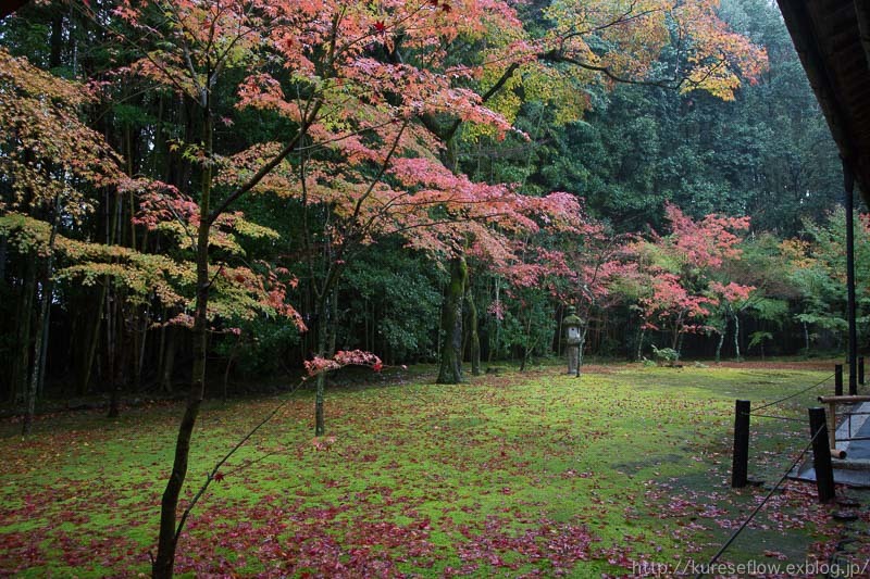 紅葉の大徳寺　高桐院_b0325840_22225479.jpg