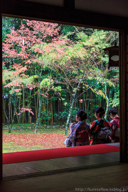 紅葉の大徳寺　高桐院_b0325840_22255815.jpg