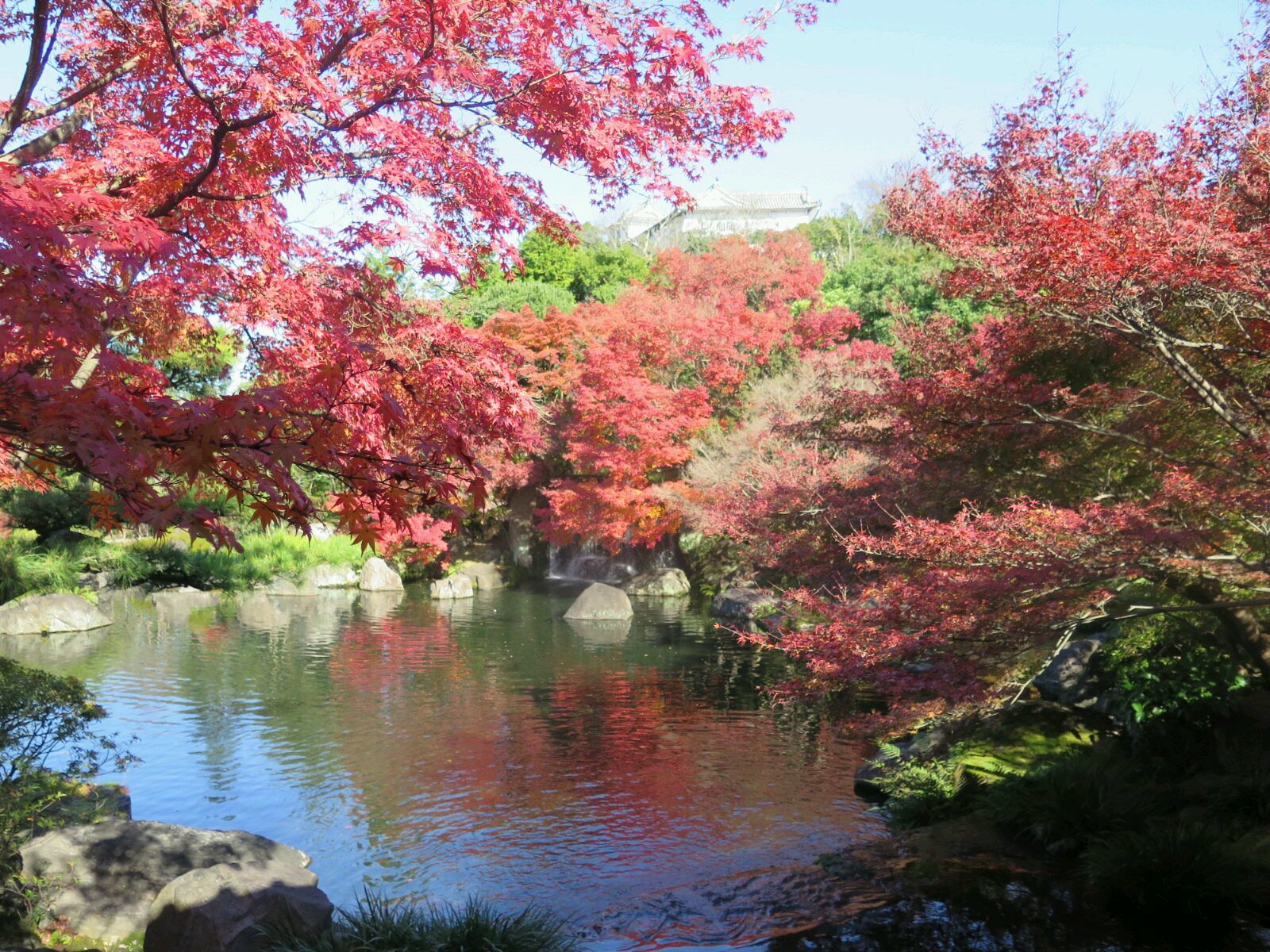 c0292342_13142445.jpg