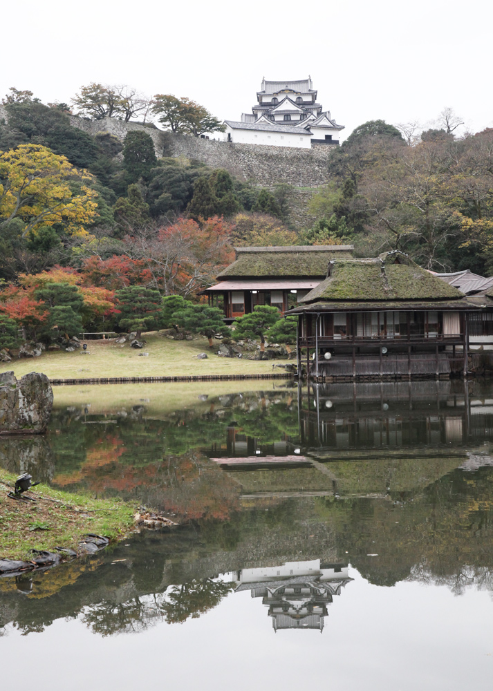 滋賀県彦根市　彦根城　玄宮園　紅葉_c0108146_21421297.jpg