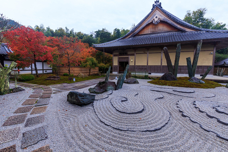 京都の紅葉2015・圓光寺早朝拝観_f0155048_23461066.jpg