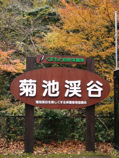 過疎化の村で温かい取り組み!『陽だまり弁当』が届きました!!_a0254656_17343464.jpg