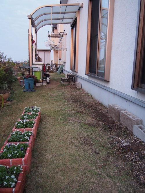 b0194267_1812924.jpg