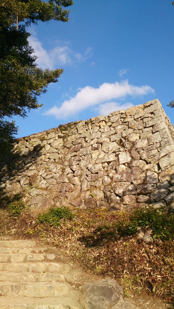 ふらっと城観 I ＜白鳥城・備中松山城＞_c0002171_21482976.jpg