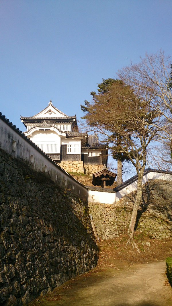 ふらっと城観 I ＜白鳥城・備中松山城＞_c0002171_21584245.jpg