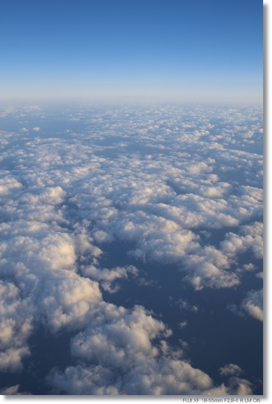 c0054876_1623926.jpg