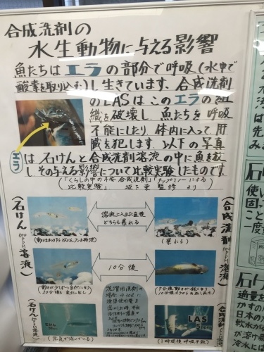 大学生のJIMOTO EYE「仙台石けんをひろめる会」_d0029276_09463978.jpeg