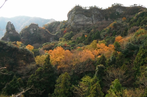 f0082181_198463.jpg