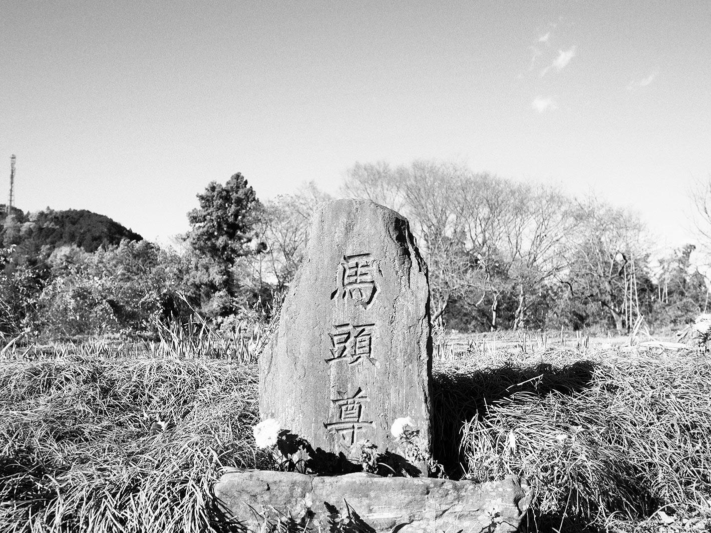 f0121181_0229100.jpg