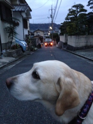 f0315081_21104437.jpeg