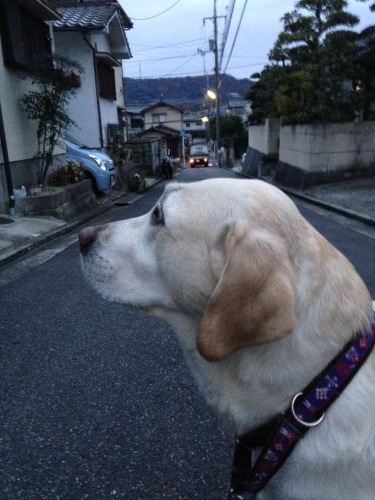 f0315081_21112039.jpeg