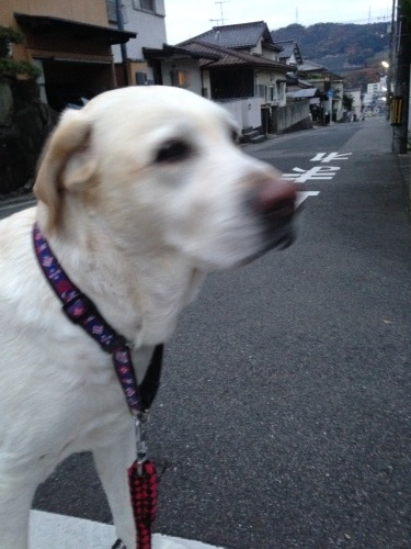 f0315081_21121916.jpeg