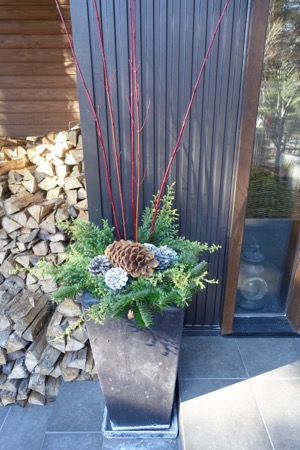 12月のデコレーション_d0133485_1304914.jpg