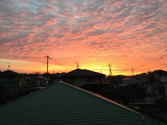 綺麗な朝焼け♪みなさんも今日も良い一日でありますように。。。_e0251887_07112003.jpeg