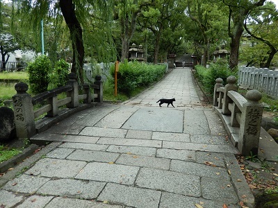 太宰治の友　織田作之助の大阪　№１０　高津宮神社の梅ノ橋_c0316988_11082577.jpg