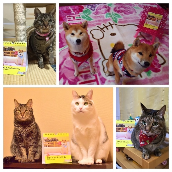 可愛いんだから!_a0126590_21532949.jpg